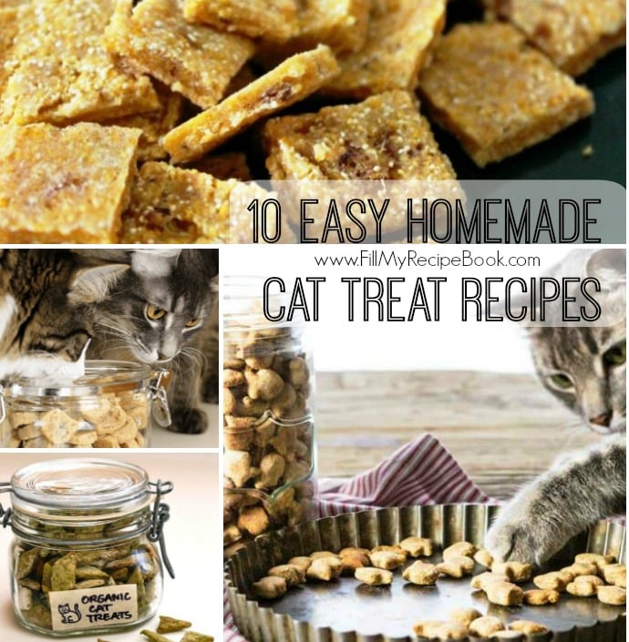 10 Easy Homemade Cat Treat Recipes