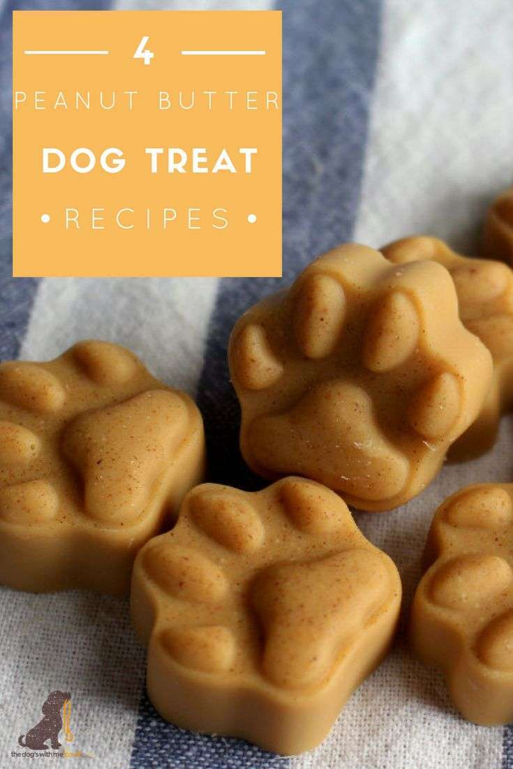 4 Great Homemade Peanut Butter Dog Treat Recipes that are ...