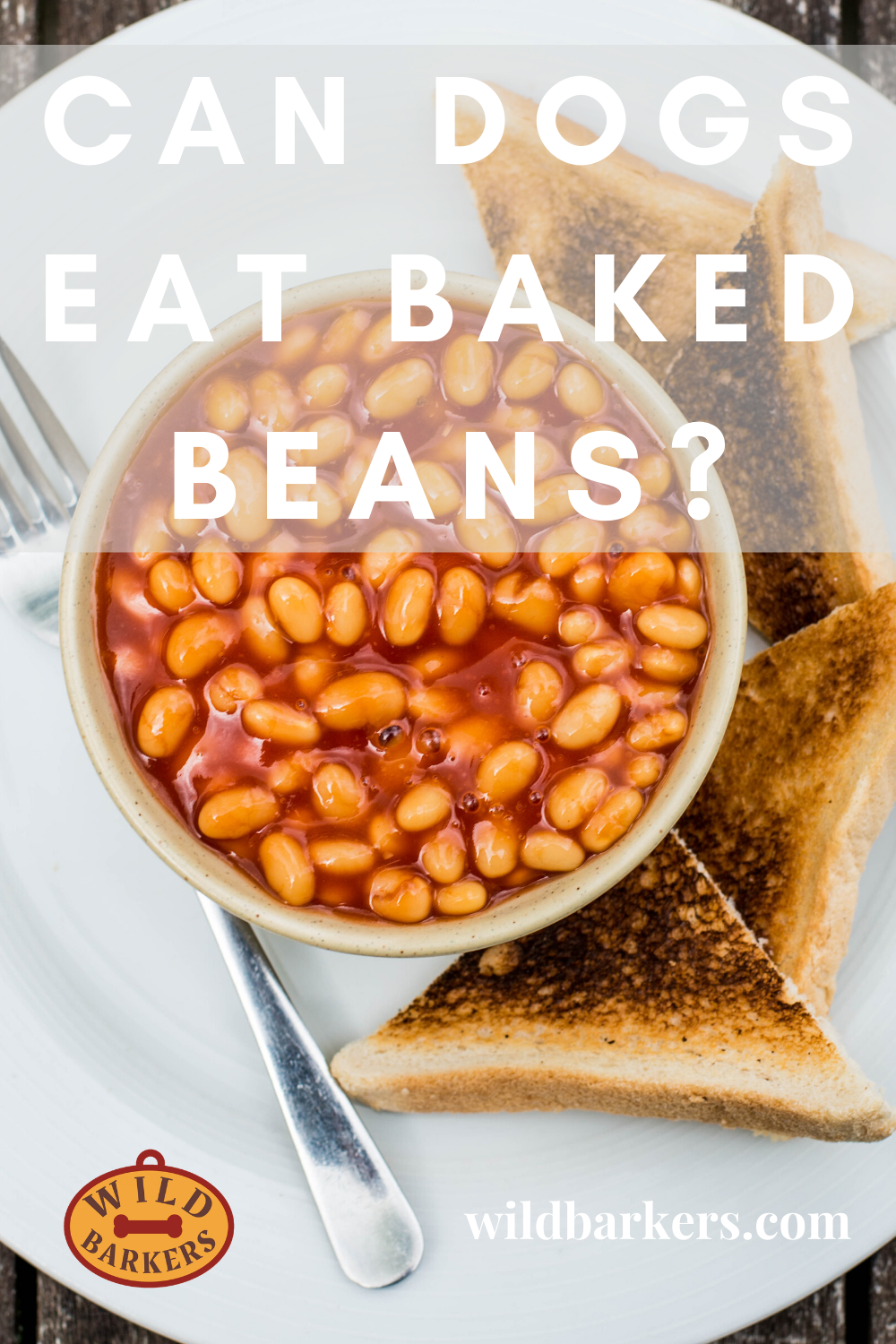 Can Dogs Eat Baked Beans? Toxic? Safe?