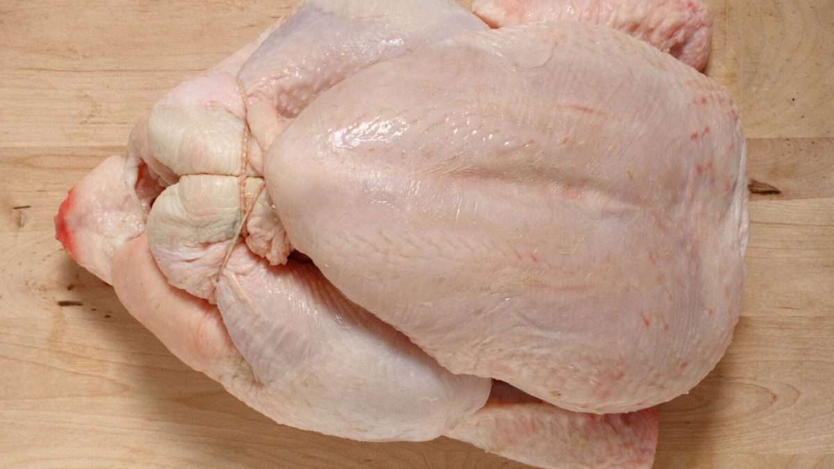 Can You Cook Chicken From Frozen?
