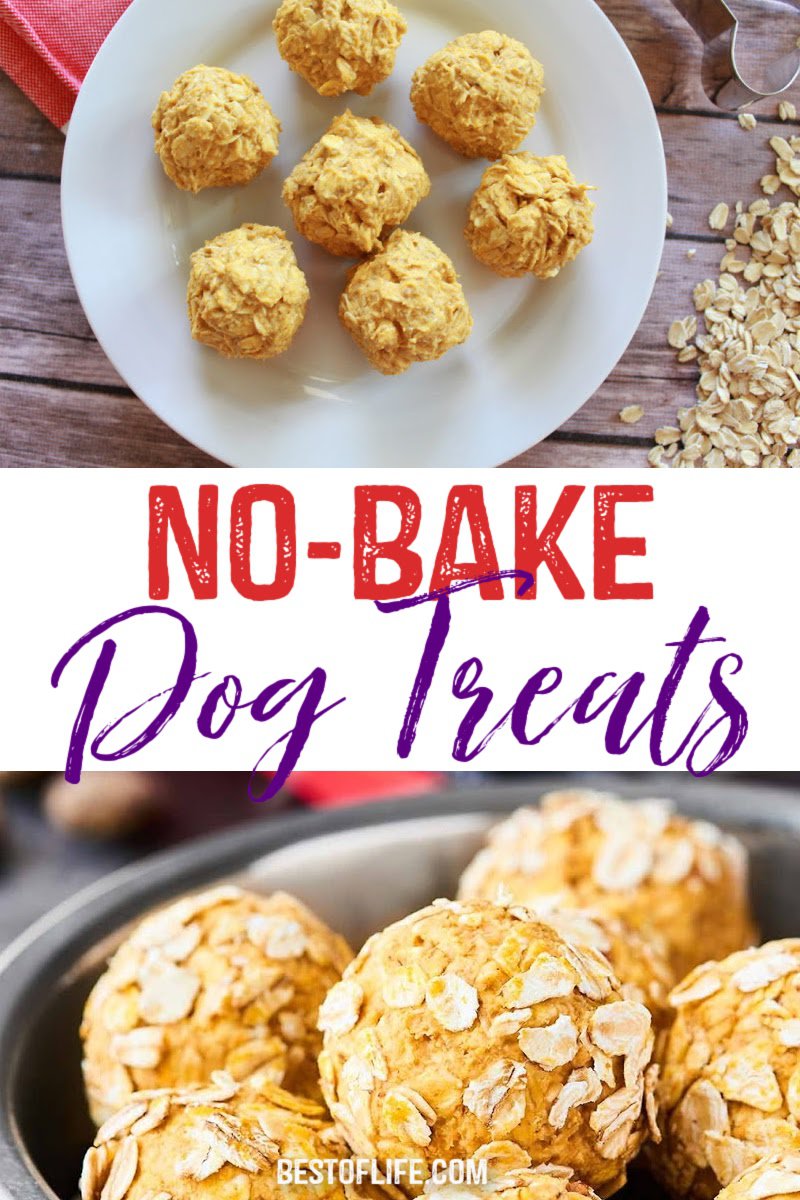 Easy No Bake Dog Treats for your Fur Baby