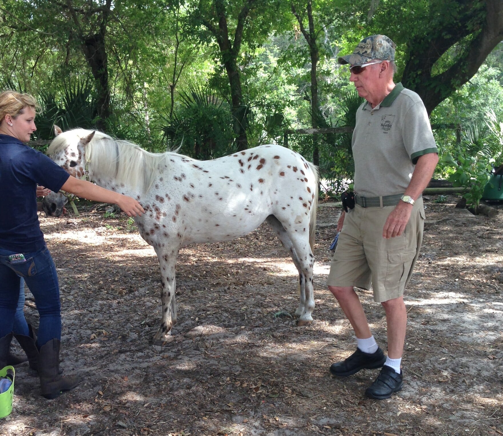 How Horses Can Help Patients Heal