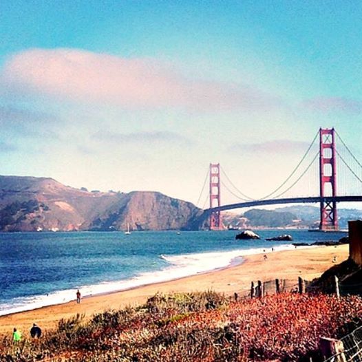In #sanfrancisco, the changing of the seasons won