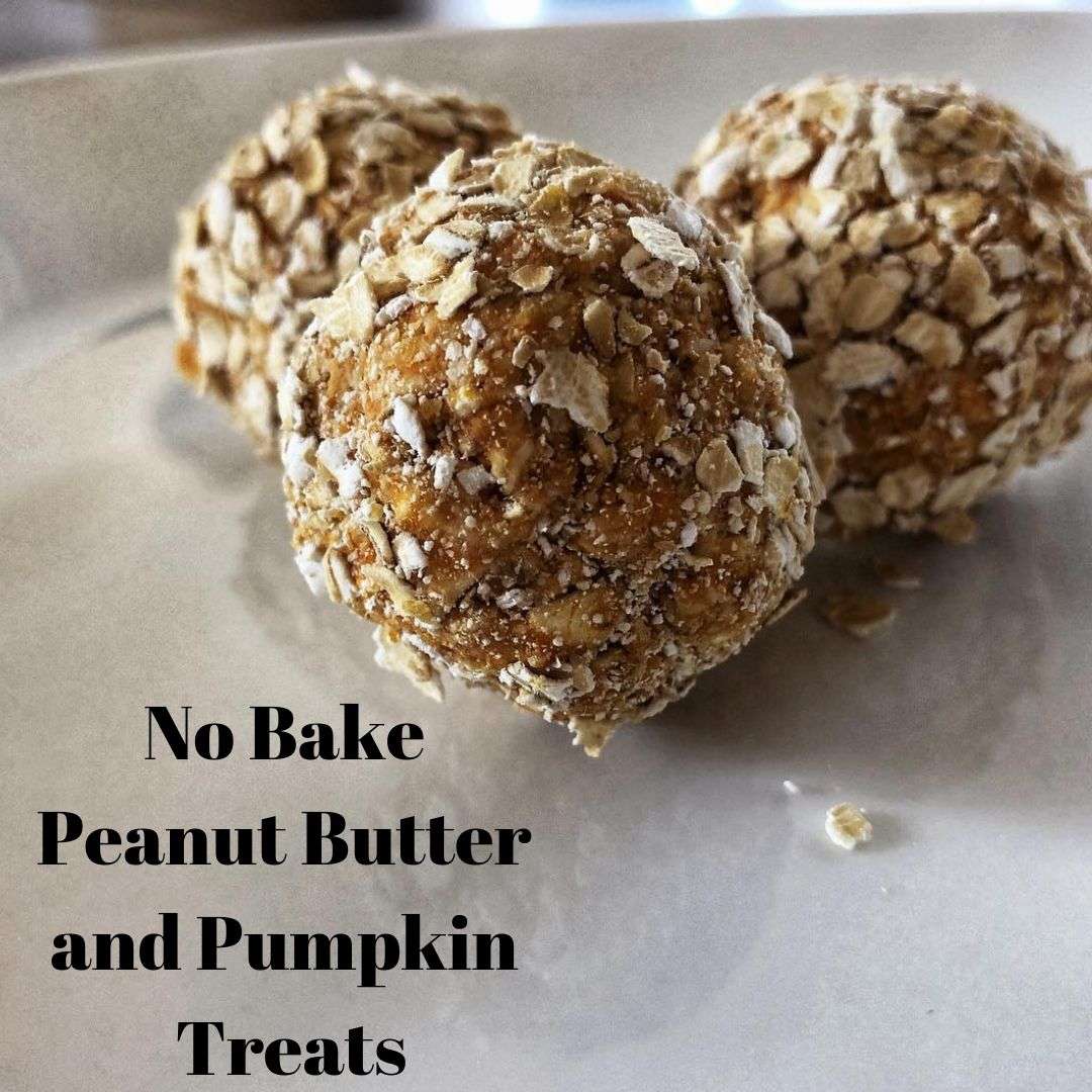 No Bake Peanut Butter and Pumpkin Dog Treats