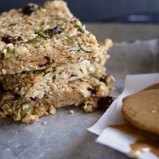 No Bake Peanut Butter Protein Bars