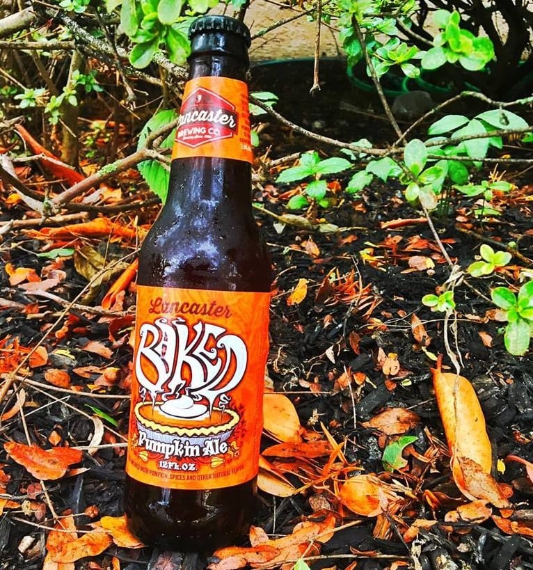 Pennsylvania Pumpkin Beers to Get Excited About